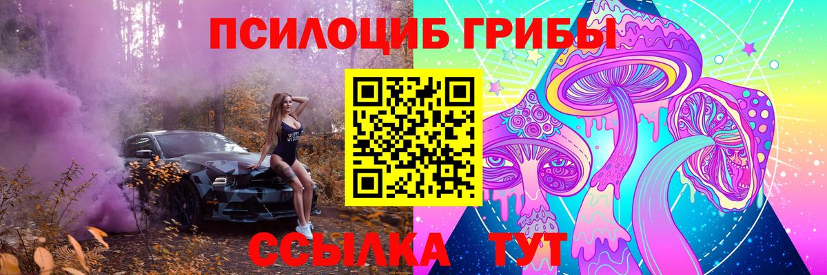 Галлюциногенные грибы MAGIC MUSHROOMS  Галлюциногенные грибы мицелий  Вход с VPN  Зеленогорск 
